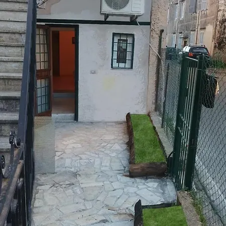 Asclepio 1 E 2 아리차